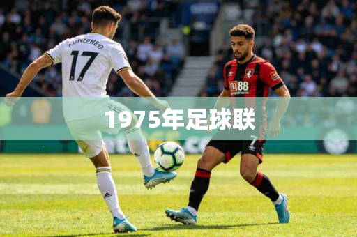 1975年足球联 1975年足球联