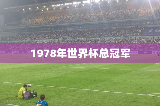 1978年世界杯总冠军