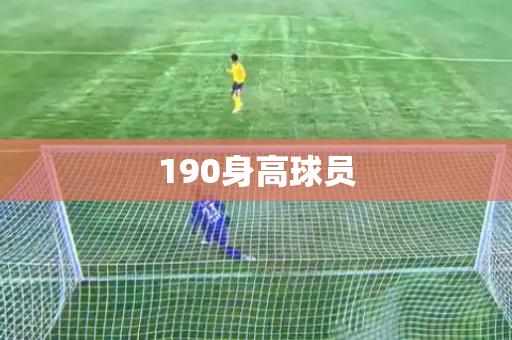 190身高球员