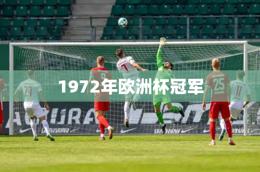1972年欧洲杯冠军 1972年欧洲杯冠军