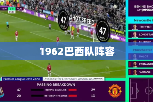 1962巴西队阵容 1962巴西队阵容