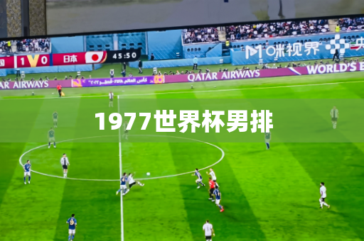 1977世界杯男排