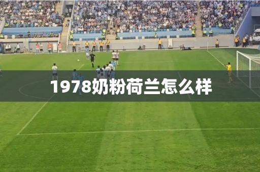 1978奶粉荷兰怎么样