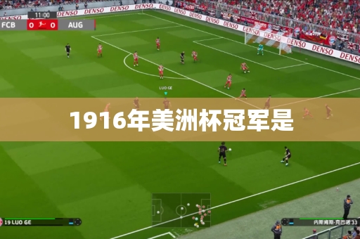 1916年美洲杯冠军是