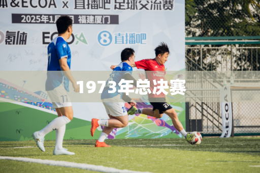 1973年总决赛 1973年总决赛