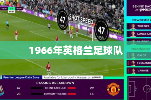 1966年英格兰足球队