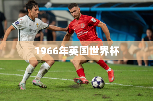 1966年英国世界杯