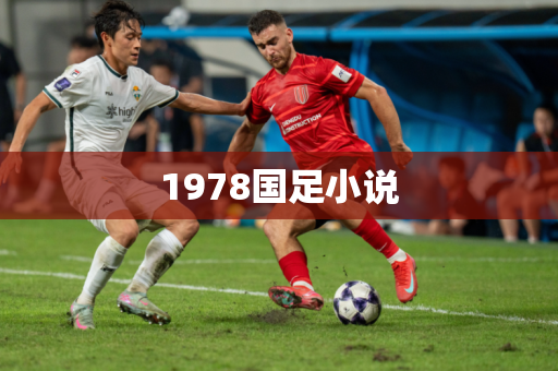 1978国足小说 1978国足小说