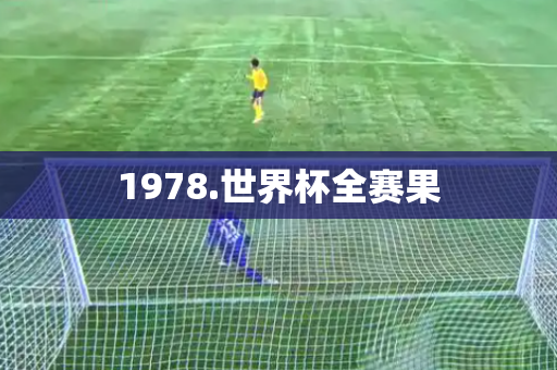 1978.世界杯全赛果