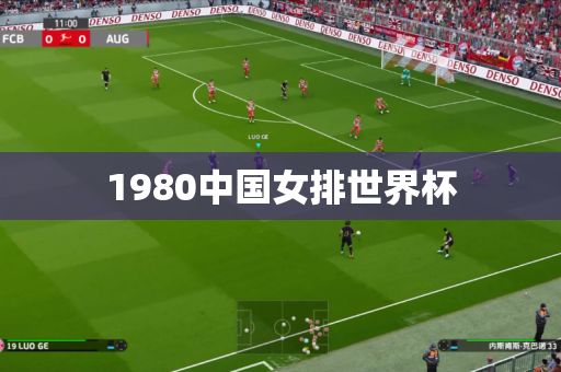 1980中国女排世界杯 1980中国女排世界杯
