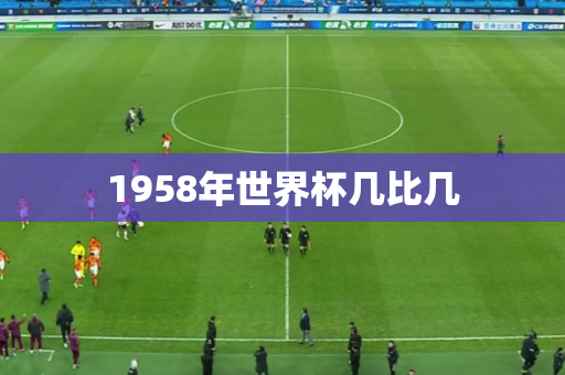 1958年世界杯几比几