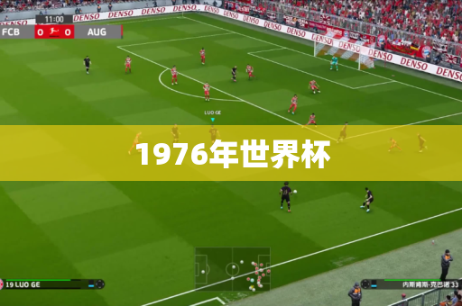 1976年世界杯 1976年世界杯