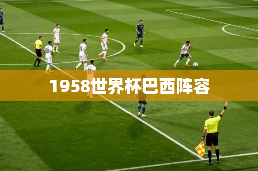 1958世界杯巴西阵容
