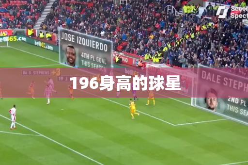 196身高的球星 196身高的球星