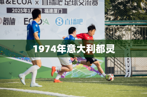 1974年意大利都灵 1974年意大利都灵