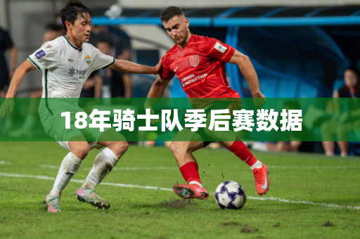 18年骑士队季后赛数据