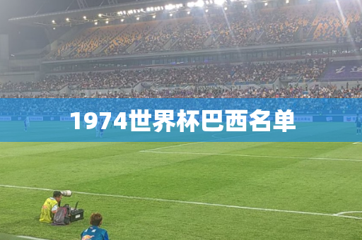 1974世界杯巴西名单 1974世界杯巴西名单