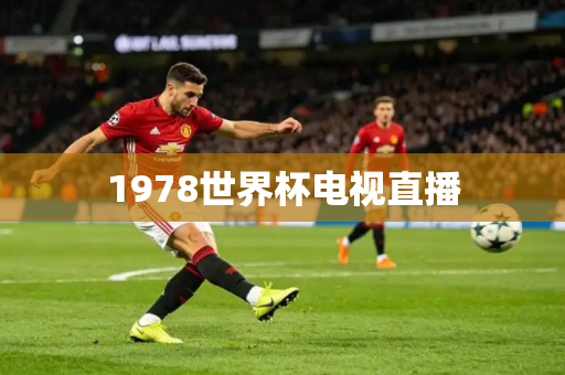 1978世界杯电视直播 1978世界杯电视直播
