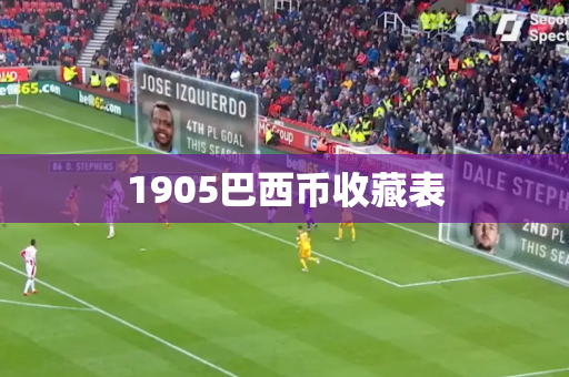 1905巴西币收藏表