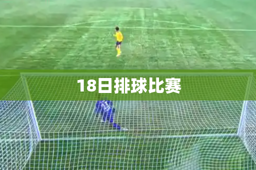 18日排球比赛