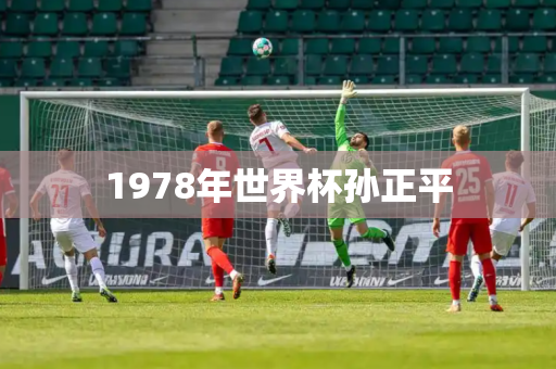 1978年世界杯孙正平 1978年世界杯孙正平