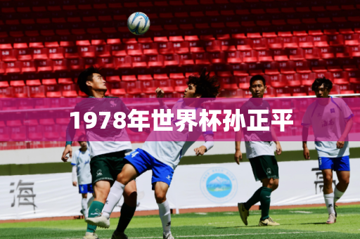 1978年世界杯孙正平 1978年世界杯孙正平