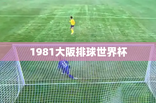 1981大阪排球世界杯 1981大阪排球世界杯