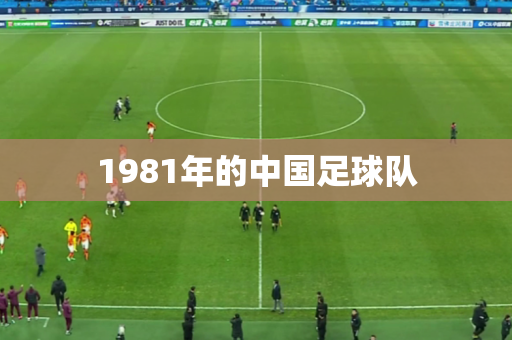 1981年的中国足球队 1981年的中国足球队