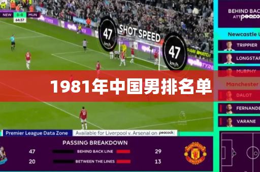 1981年中国男排名单