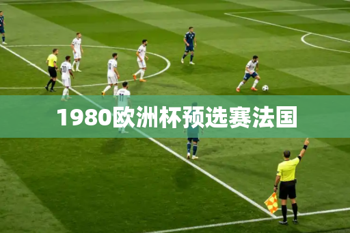 1980欧洲杯预选赛法国