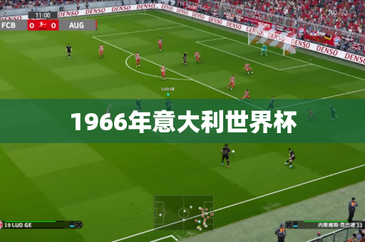 1966年意大利世界杯 1966年意大利世界杯
