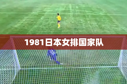 1981日本女排国家队
