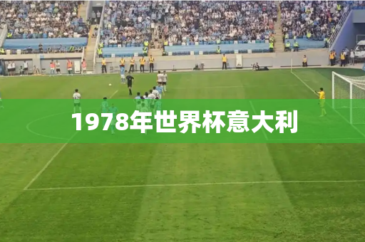 1978年世界杯意大利