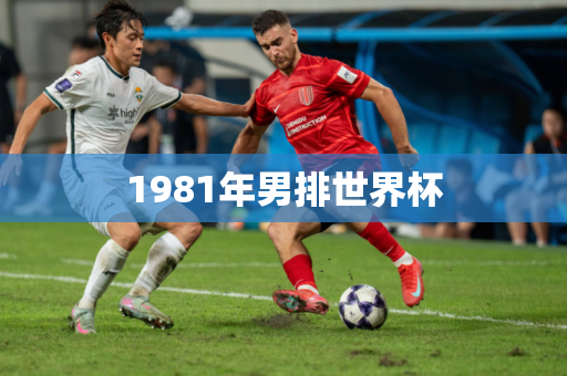 1981年男排世界杯