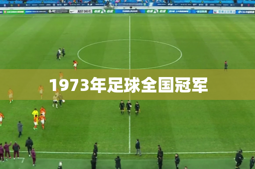 1973年足球全国冠军