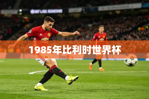 1985年比利时世界杯