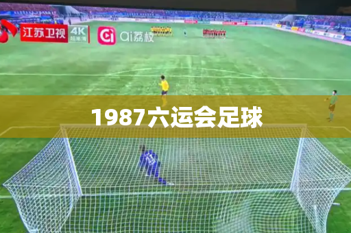 1987六运会足球 1987六运会足球