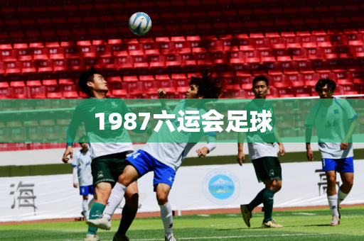 1987六运会足球 1987六运会足球