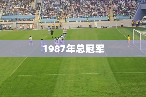 1987年总冠军 1987年总冠军