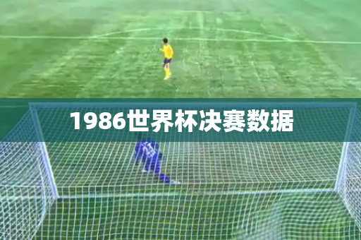 1986世界杯决赛数据