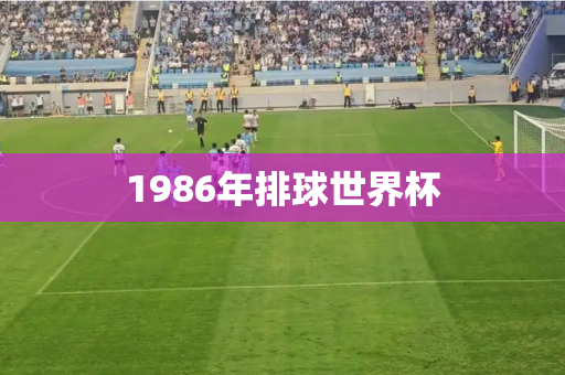 1986年排球世界杯