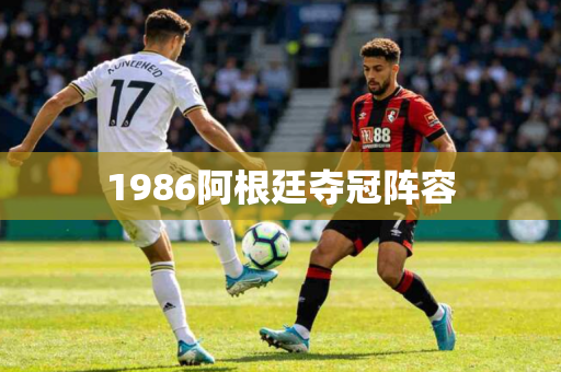 1986阿根廷夺冠阵容 1986阿根廷夺冠阵容