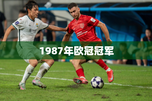 1987年欧冠冠军 1987年欧冠冠军