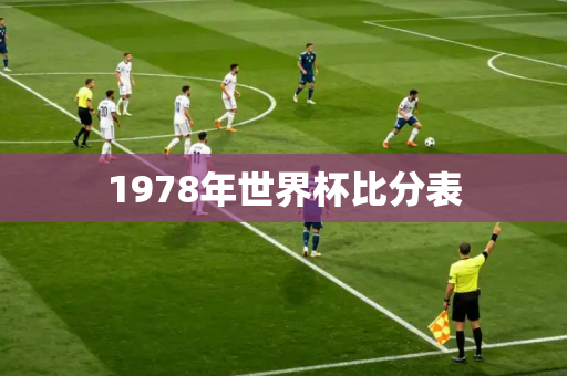 1978年世界杯比分表 1978年世界杯比分表