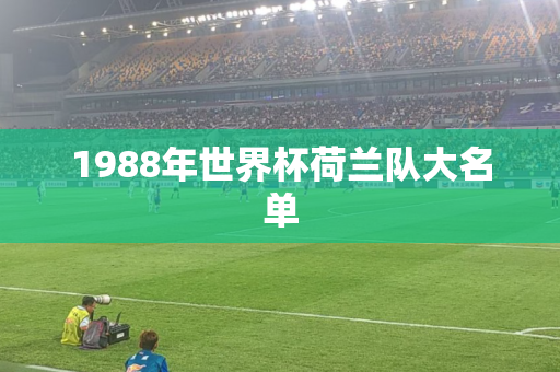 1988年世界杯荷兰队大名单 1988年世界杯荷兰队大名单
