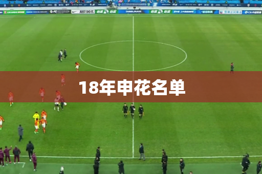 18年申花名单
