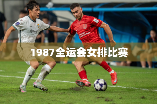 1987全运会女排比赛