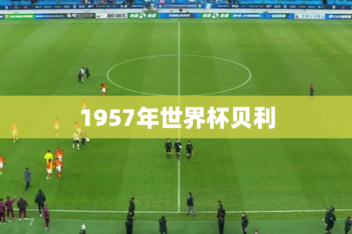 1957年世界杯贝利 1957年世界杯贝利