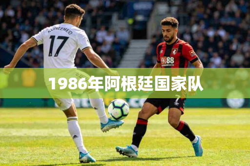 1986年阿根廷国家队 1986年阿根廷国家队
