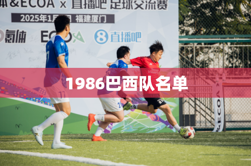1986巴西队名单